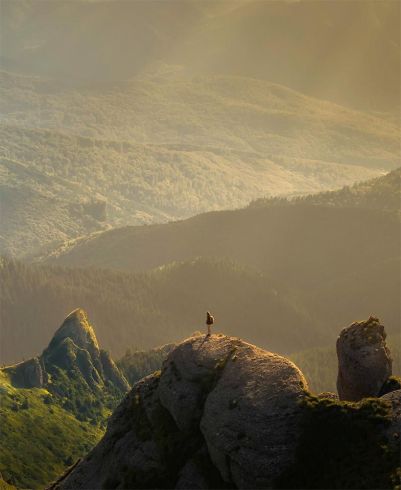 Enerji Səmərəliliyi ilə Gələcəyə Yatırım Etmək